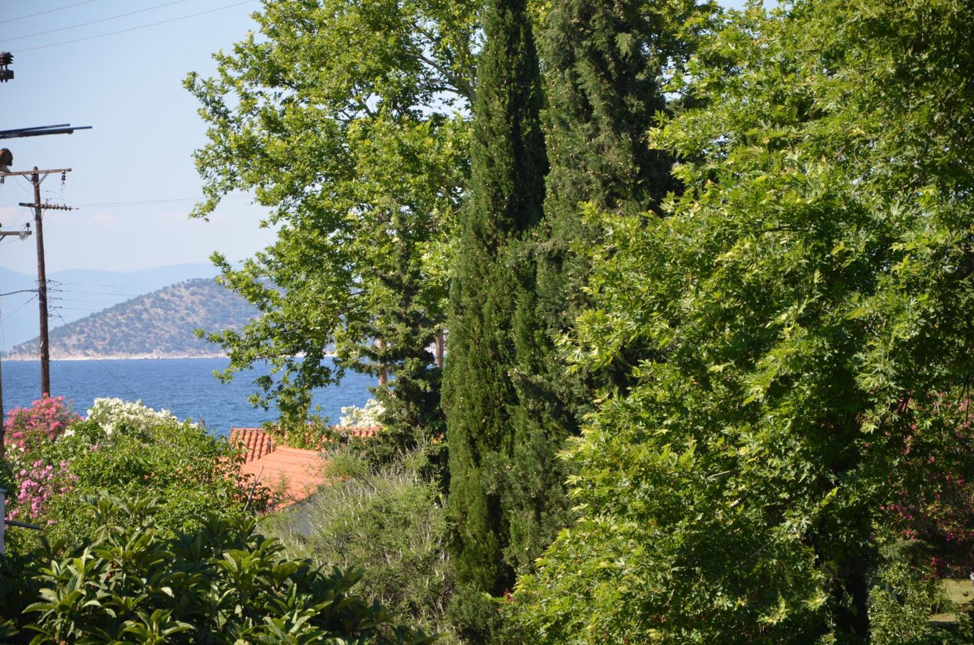 Egeo Hotell Thassos Exteriör bild
